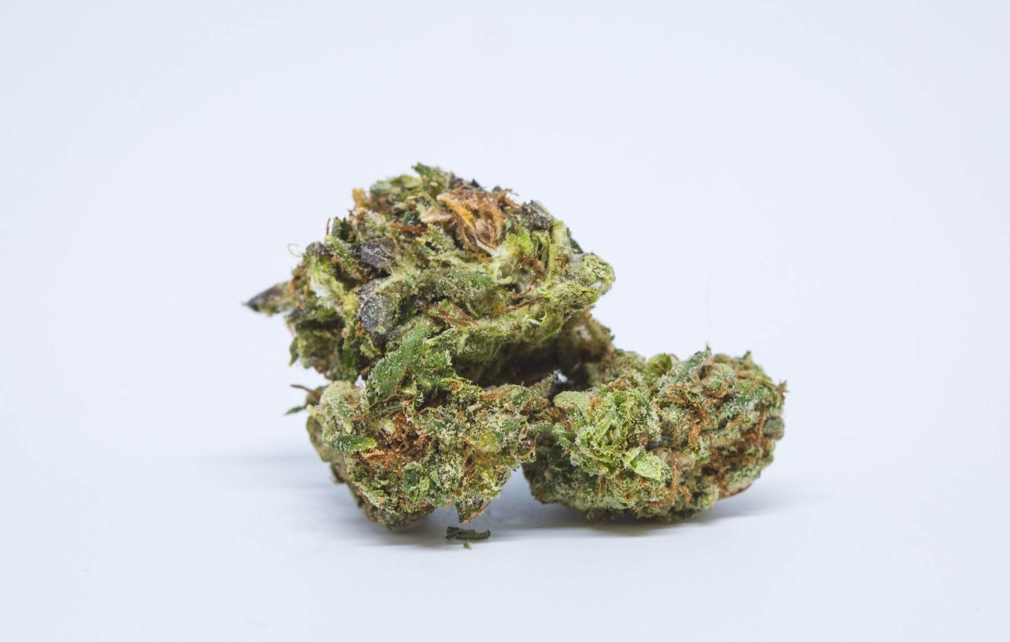 Explore Wholesale CBD Edibles with Delta 8 THC Options