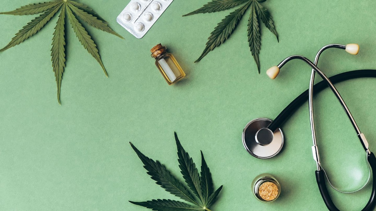 Cheap Weed in Chiang Mai: Premium Quality Without the Price Tag
